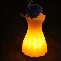 Small size led illuminated led flower pot/led vase with color changing by remote